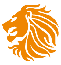 Dutch Total Soccer